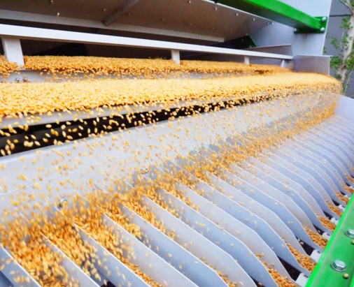 1757659923124920.png E114B723-8FD6-4210-85F5-8C3A3897606C.png