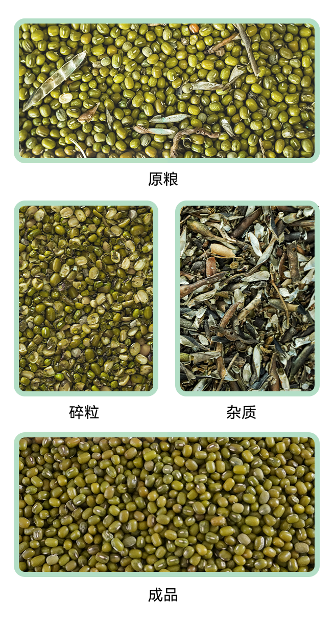 1769415858189088.jpg 風(fēng)篩清選機小程序.jpg